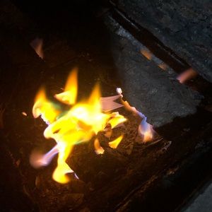 Meet your Posher, Jodee